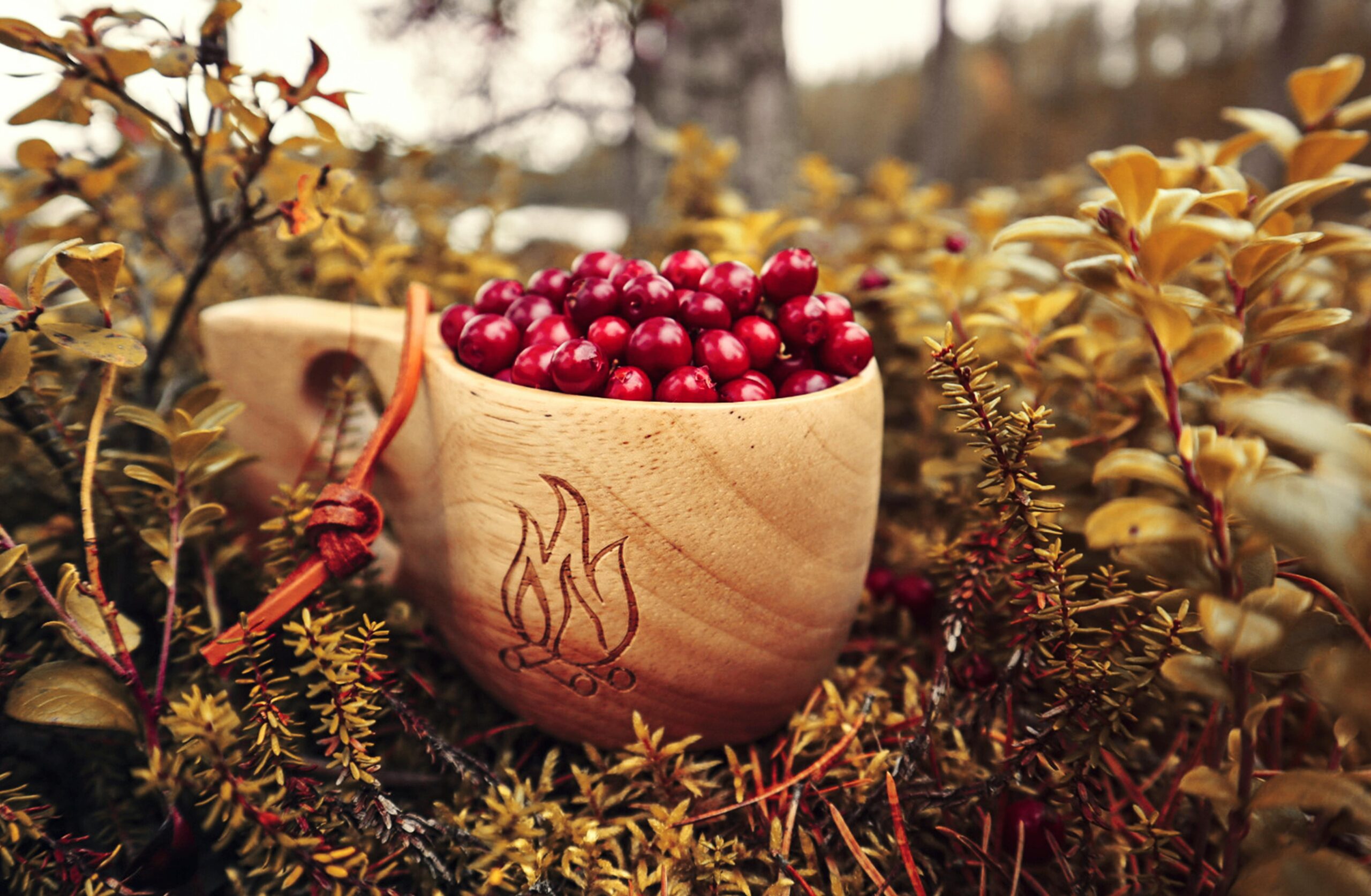 SISUPARTIO – Soveltava harrastus peruskouluikäisille