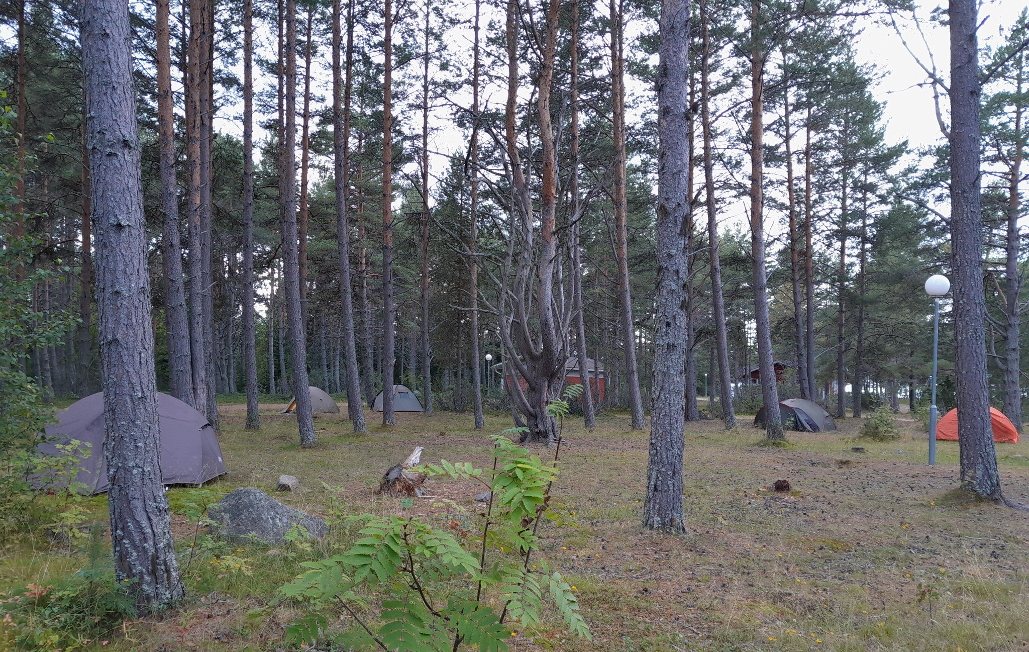 Suomen luonnonpäivänä nukuttiin ulkona ja koettiin hyvinvointia