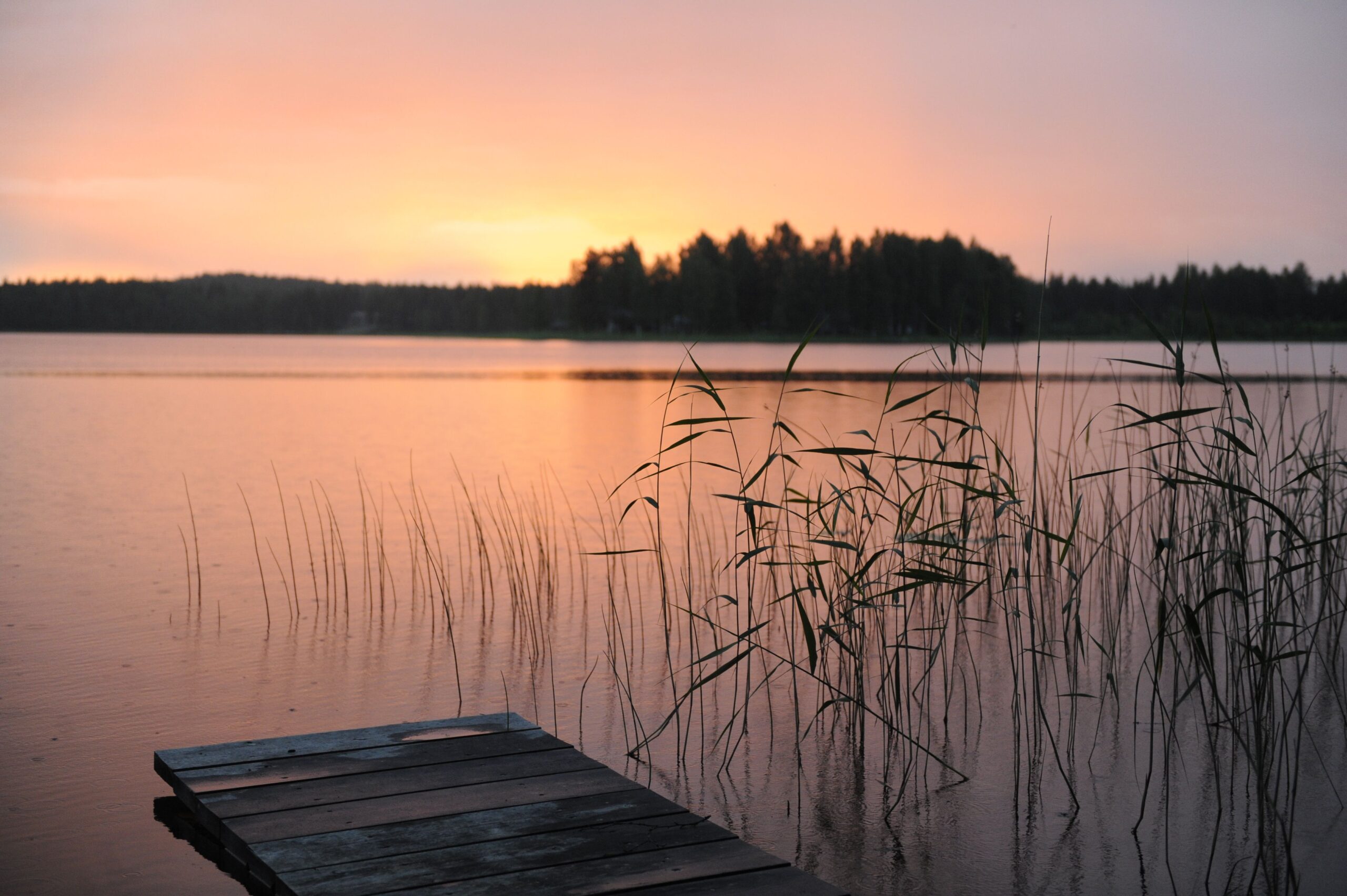 Viimeisiä hankekuukausia viedään